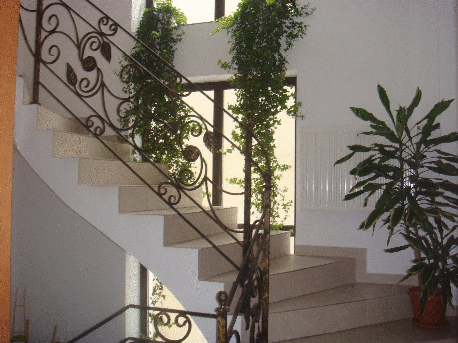 Villa Edera Residence - Gazda Profesionista 부쿠레슈티 외부 사진