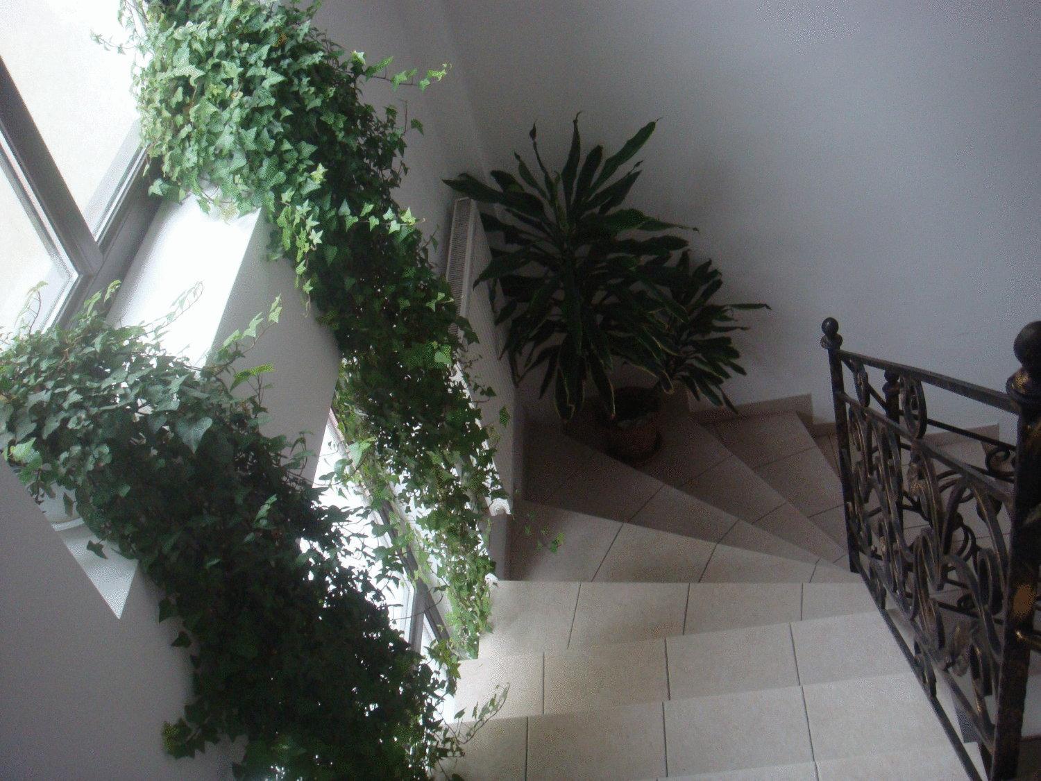 Villa Edera Residence - Gazda Profesionista 부쿠레슈티 외부 사진